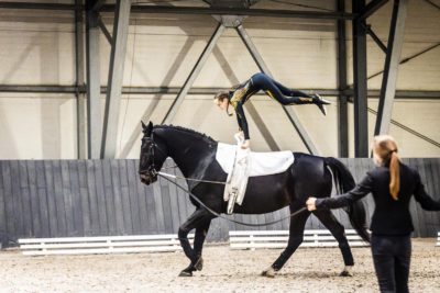 Mistrzostwa Warszawy i Mazowsza oraz Zawody Regionalne w woltyżerce 18-19.10.2025